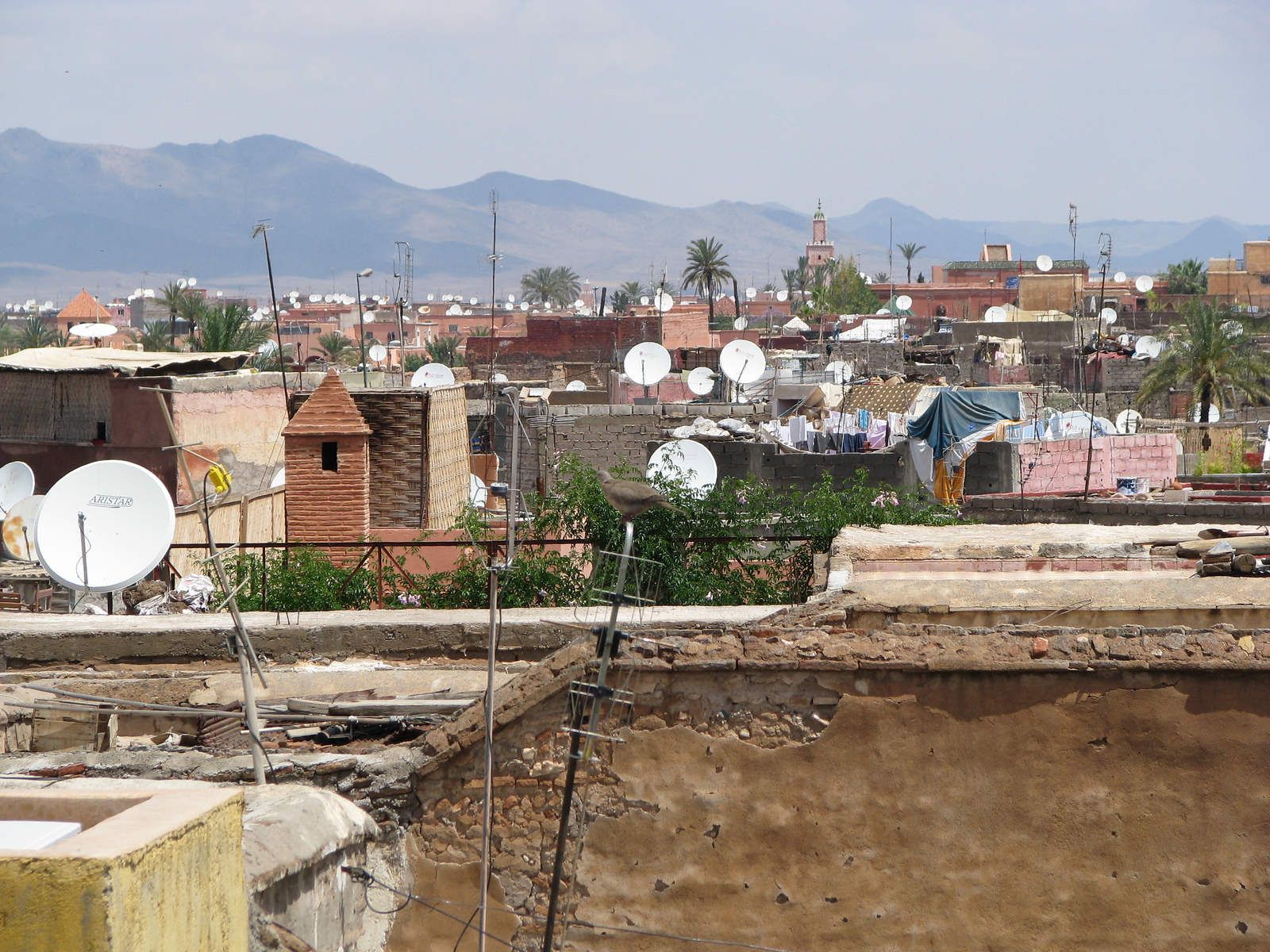Marrakech rooftops with satellite dishes and laundry, mountains in the distance