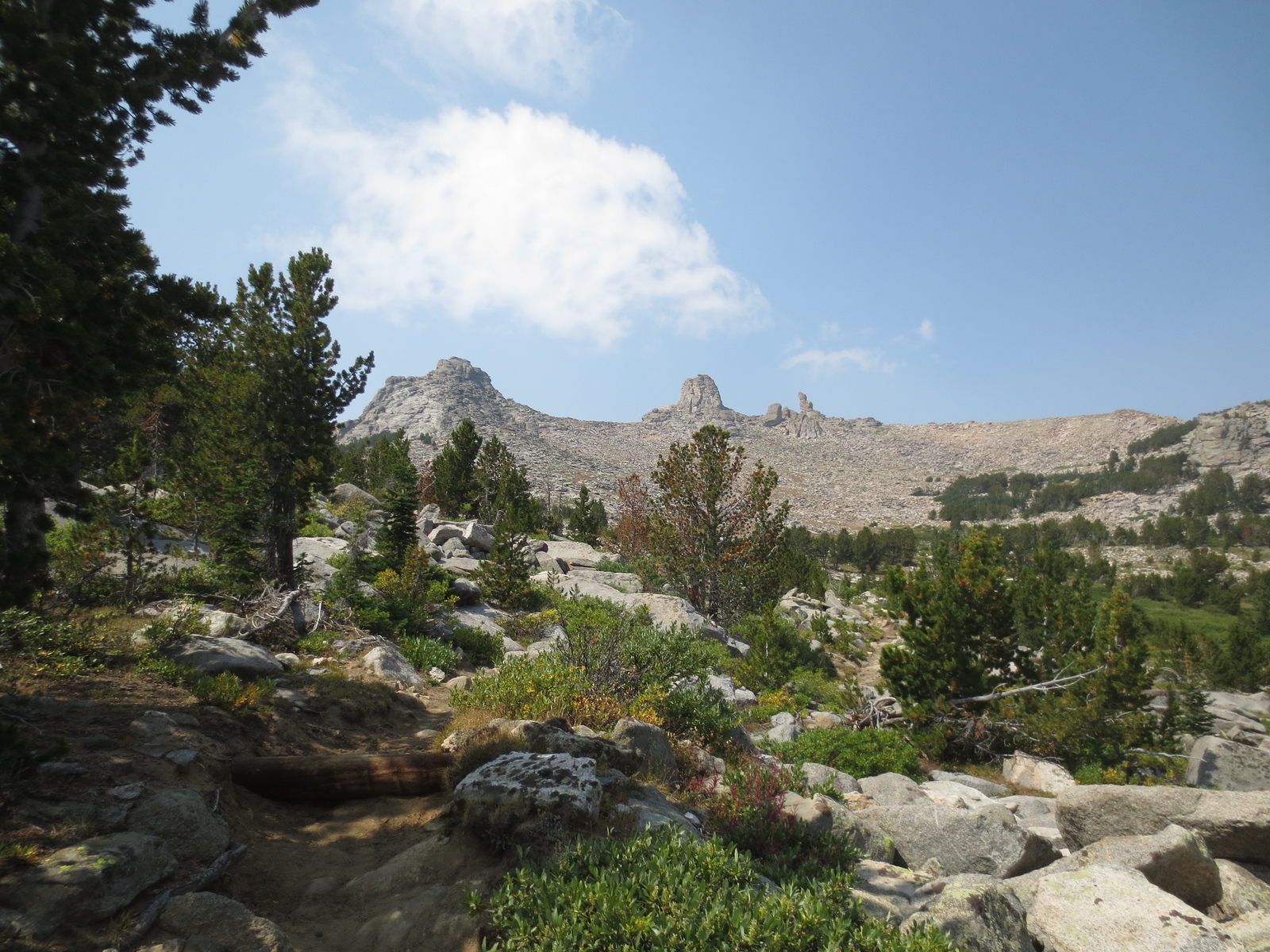 Granite spires above a rocky, pine-scattered basin in the Wind River Range